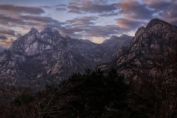 NTU研究申请中导师停招后的方案选择