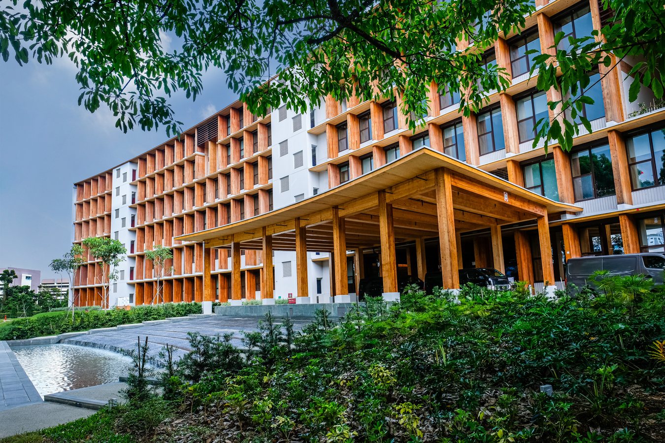 南洋理工大学商科与经济课程